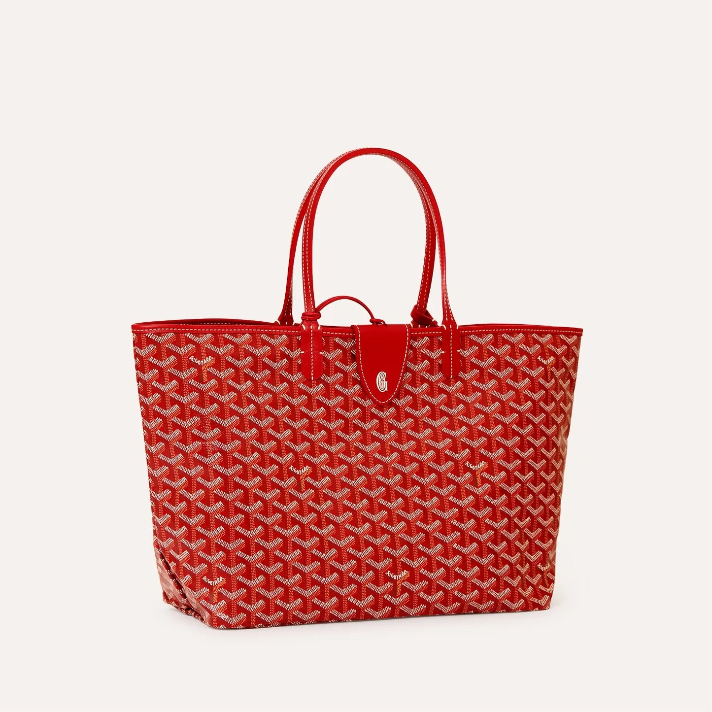 Saint Luis PM Bag