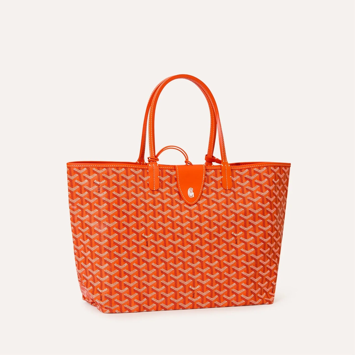 Saint Luis PM Bag
