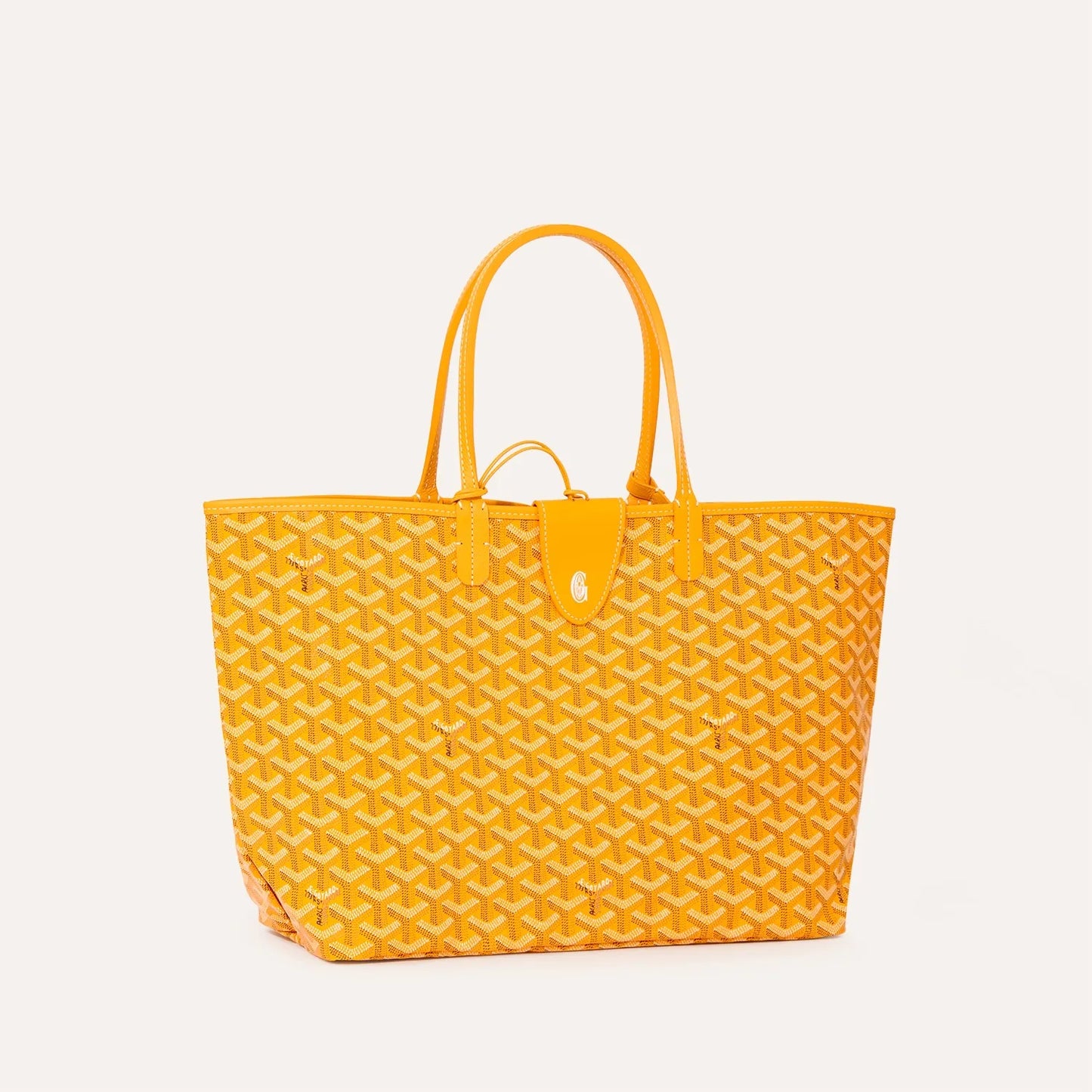 Saint Luis PM Bag