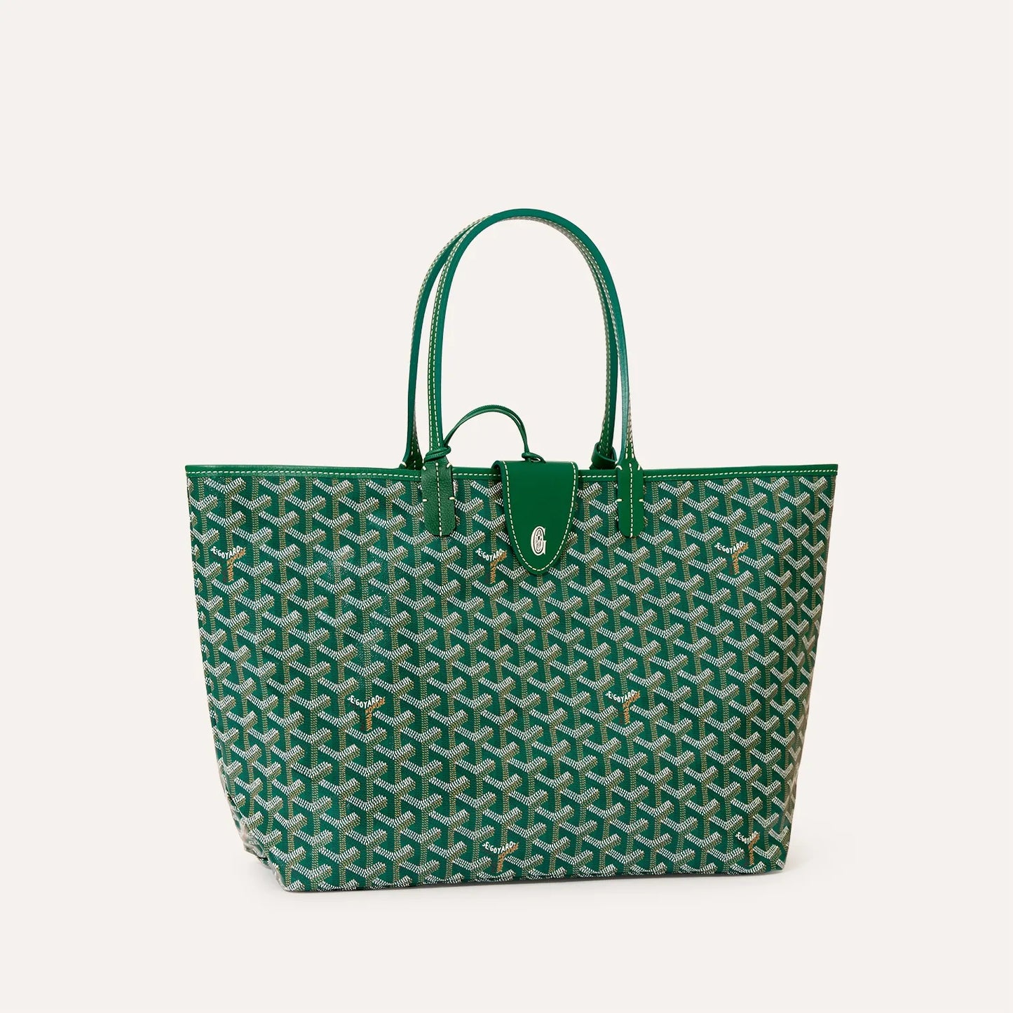 Saint Luis PM Bag